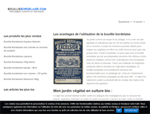 Tablet Screenshot of bouilliebordelaise.com
